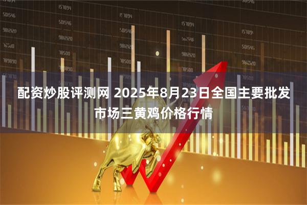 配资炒股评测网 2025年8月23日全国主要批发市场三黄鸡价格行情